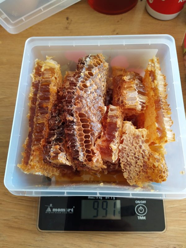 Medus šūnās
